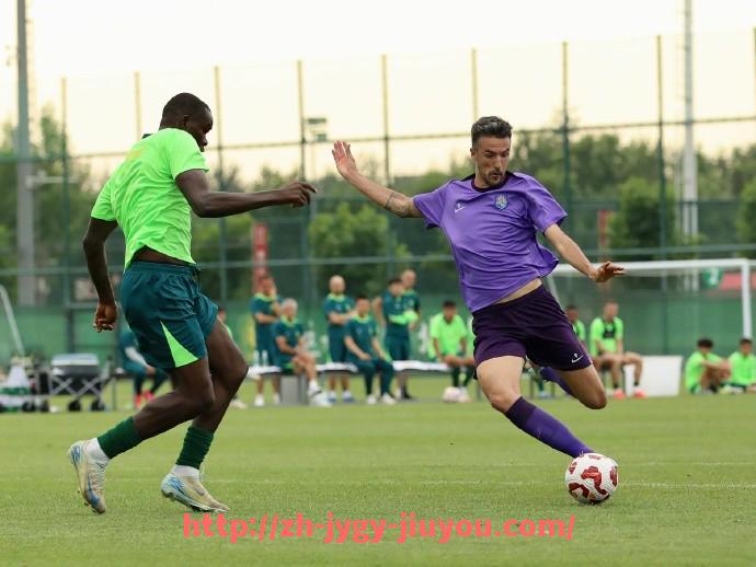 九游jiuyou-世俱杯比赛球队中线附近控球率排行榜与数据解读